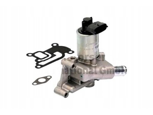 Zawór Egr 7.22875.13.0