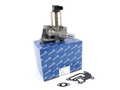 Zawór Egr 7.22875.13.0