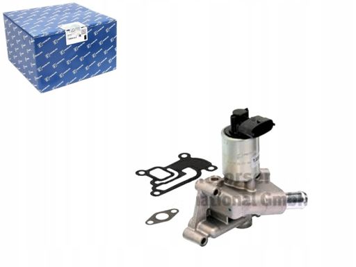 Zawór Egr 7.22875.13.0