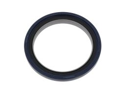 Uszczelniacz Wału Korbowego 12015973B