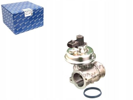 Zawór Egr 7.24809.07.0