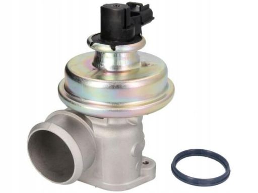 Zawór Egr 7.24809.07.0