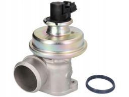 Zawór Egr 7.24809.07.0