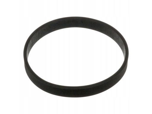 100871 Uszczelka Rury Kolektora Dolotowego Fe100871 Febi