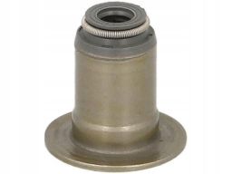 70-10130-00 Uszczelniacz Trzonka Zaworu 70-10130-00 Reinz