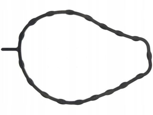 Uszczelka Pompy Cieczy Chłodzącej 297.020