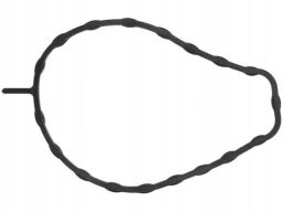 Uszczelka Pompy Cieczy Chłodzącej 297.020