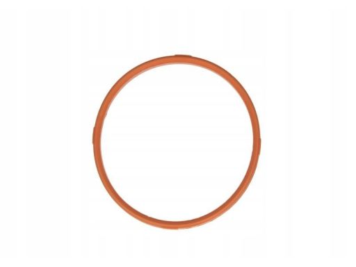 Uszczelka Rury Kolektora Dolotowego 359.380