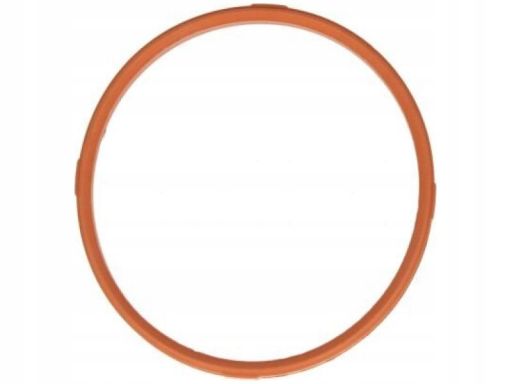 Uszczelka Rury Kolektora Dolotowego 359.380