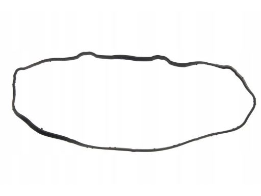 Uszczelka Kolektora Dolotowego 384.640