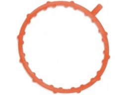 Uszczelka Kolektora Dolotowego 452.120