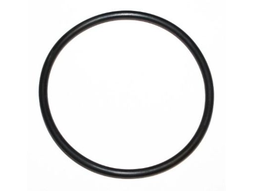 Uszczelka Filtra Oleju 455.190