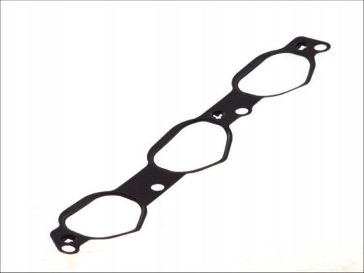 Uszczelka Kolektora Dolotowego 479.030