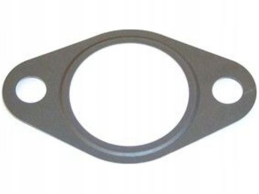 Uszczelnienie Zaworu Egr 489.990