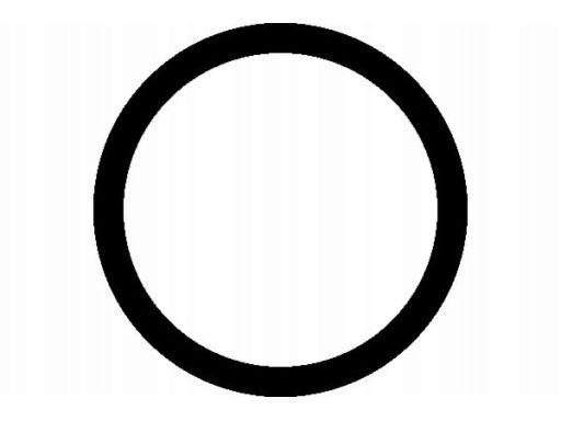 Uszczelka Kolektora Dolotowego 542.400