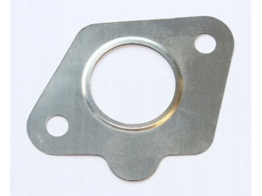 Uszczelnienie Zaworu Egr 569.360