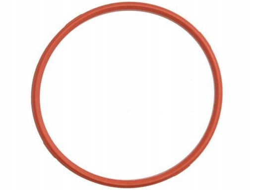 Uszczelka Rury Kolektora Dolotowego 888.613