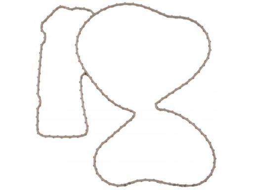 Uszczelka Pompy Cieczy Chłodzącej 890.780