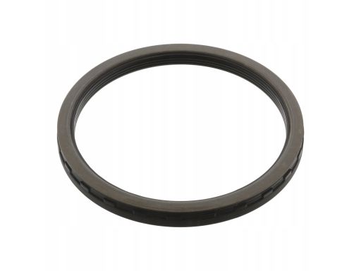 19219 Uszczelniacz Piasty Koła Fe19219 Febi