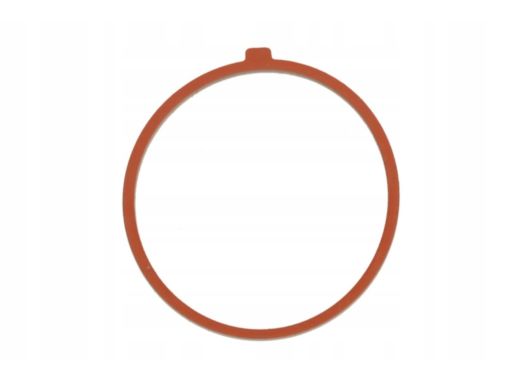 Uszczelka Rury Kolektora Dolotowego 907.630