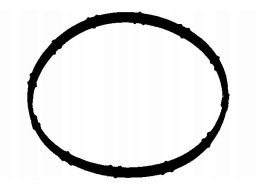 Uszczelka Rury Kolektora Dolotowego 902.820