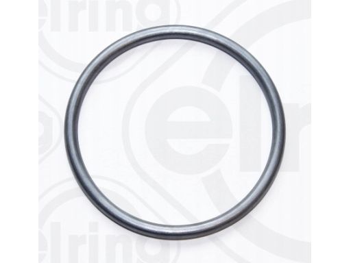 Uszczelka Pompy Paliwa 268.550