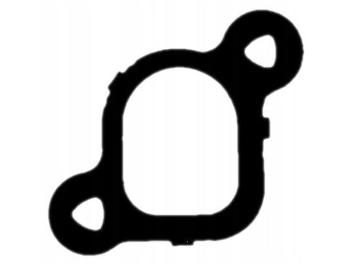 71-37536-00 Uszczelka Kolektora Dolotowego 71-37536-00 Reinz