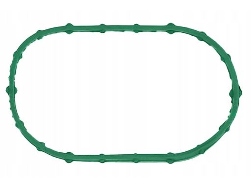 Uszczelka Kolektora Dolotowego 806.940