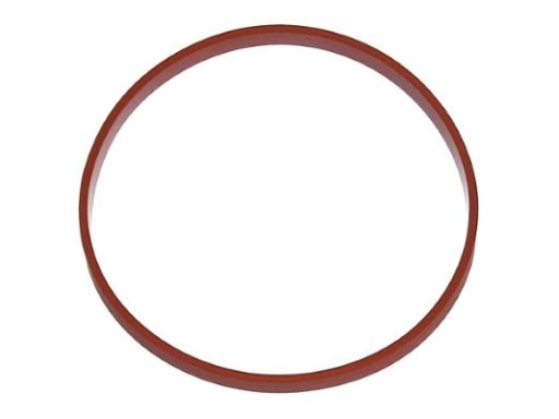 Uszczelka Rury Kolektora Dolotowego 595.300