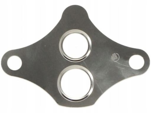 Uszczelnienie Zaworu Egr 646.020