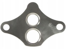 Uszczelnienie Zaworu Egr 646.020