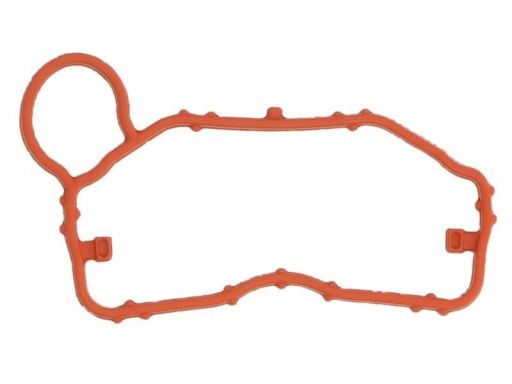 Uszczelka Kolektora Dolotowego 696.200