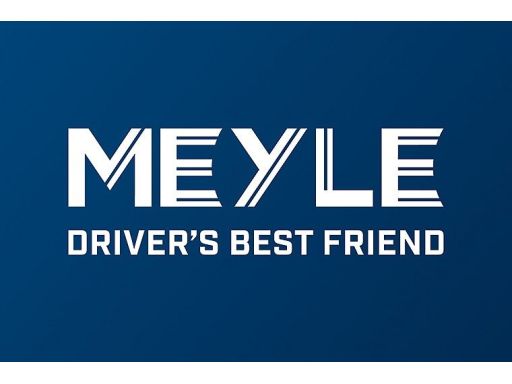 314 323 0000 Filtr Paliwa Meyle