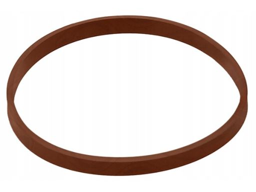 Uszczelka Rury Kolektora Dolotowego 934.160