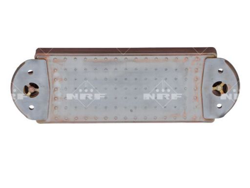 Chłodnica Oleju 31243