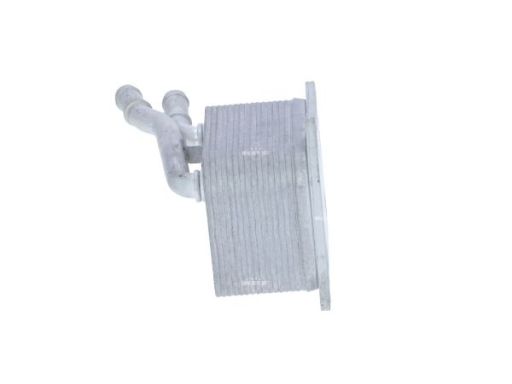 Chłodnica Oleju 31748