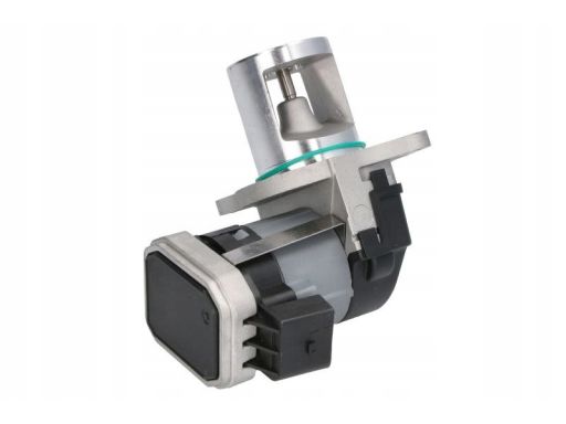 Zawór Egr 48728