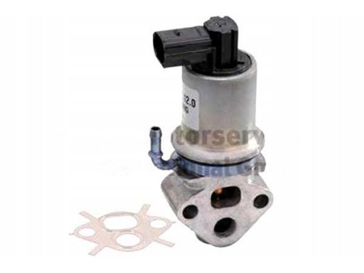 Zawór Egr 7.22574.12.0