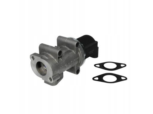 Zawór Egr 7.22946.38.0