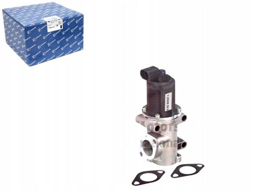 Zawór Egr 7.22946.38.0