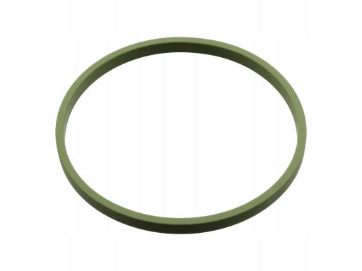 107960 Uszczelka Kolektora Dolotowego Fe107960 Febi Bilstein