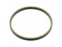 107960 Uszczelka Kolektora Dolotowego Fe107960 Febi Bilstein