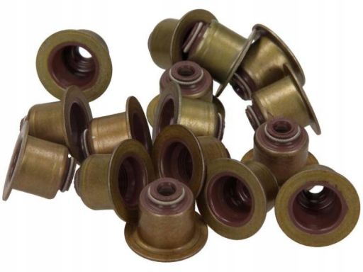 12-38538-01 Zestaw Uszczelniaczy Trzonka Zaworów 12-38538-01 Reinz