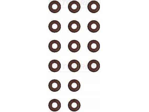 12-53494-01 Zestaw Uszczelniaczy Trzonka Zaworów 12-53494-01 Reinz