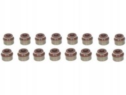 12-53494-01 Zestaw Uszczelniaczy Trzonka Zaworów 12-53494-01 Reinz