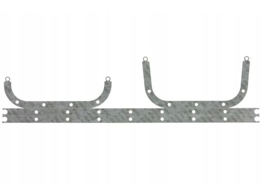 71-19572-10 Uszczelka Miski Olejowej 71-19572-10 Reinz