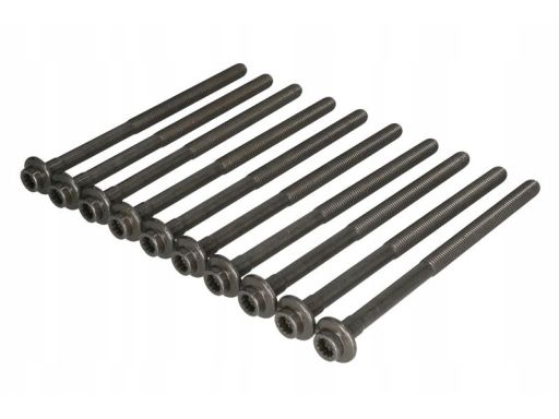 14-10013-01 Zestaw Śrub Głowicy Cylindrów 14-10013-01 Reinz