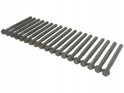 14-10581-01 Zestaw Śrub Głowicy Cylindrów 14-10581-01 Reinz