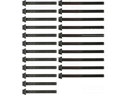 14-32096-01 Zestaw Śrub Głowicy Cylindrów 14-32096-01 Reinz