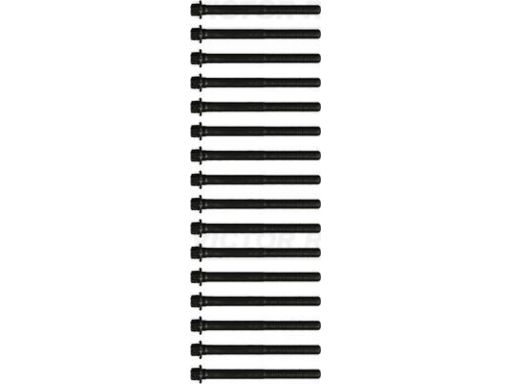 14-32238-02 Zestaw Śrub Głowicy Cylindrów 14-32238-02 Reinz